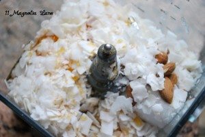 Such and easy and fast recipe... throw everything into your food processor!