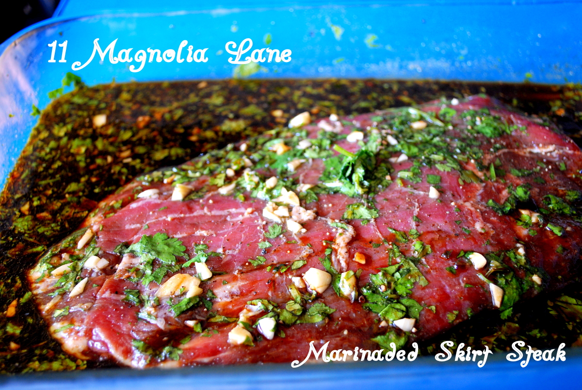 Recipes for Ginger Soy Marinated Skirt Steak & Vegetable Stir Fry 11