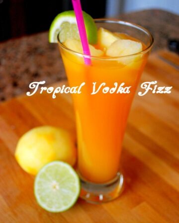 Orange Guava Vodka Fizz Recipe