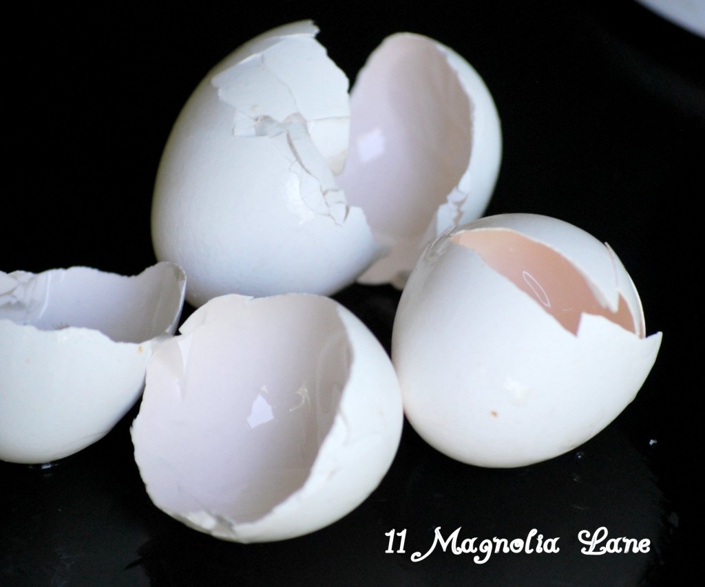 Don't forget to compost your egg shells