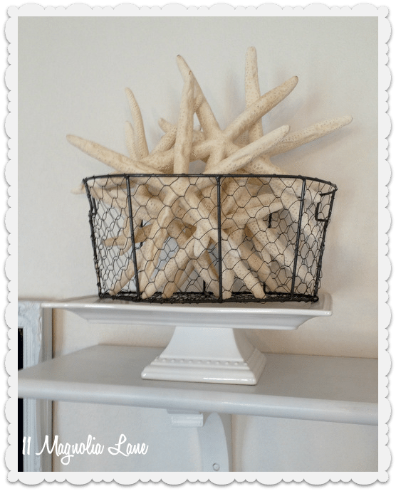 starfish in chicken wire basket
