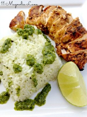 Fajita Chicken with Green Onion and Cilantro Rice
