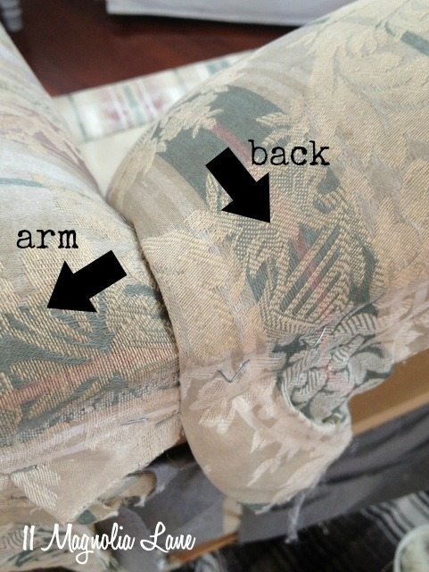back-and-arm-labeled