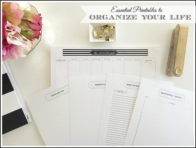 marked-header-basic-organizing-printables