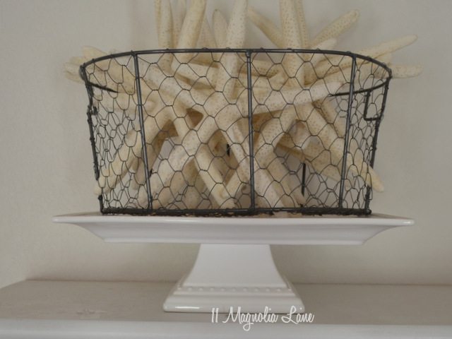 starfish in basket