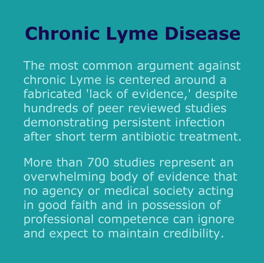 Chronic Lyme Disease (PRNewsFoto/The Mayday Project)