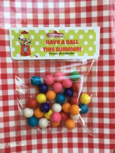 "Have a Ball" end of school year class gift | 11 Magnolia Lane