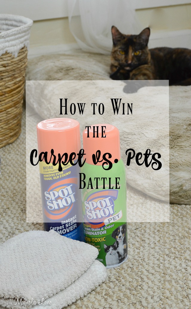 How to win the carpet vs. pets battle