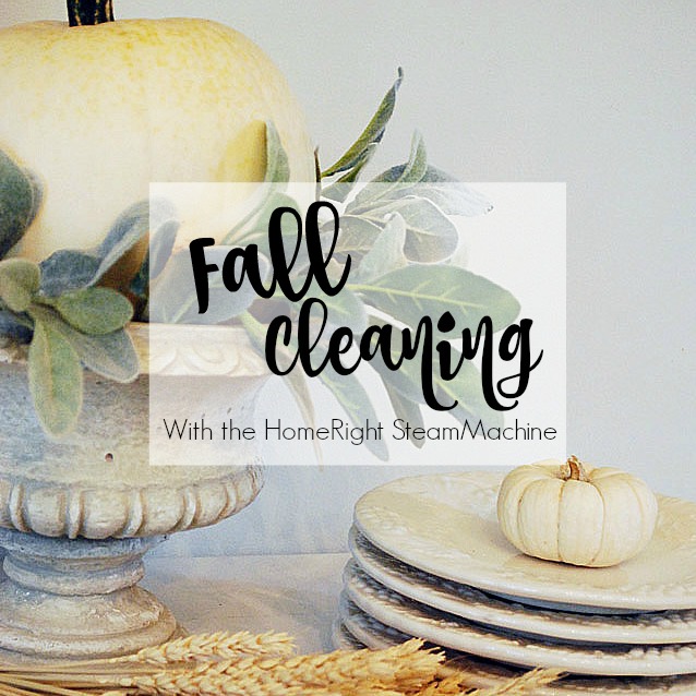 Fall housecleaning with the HomeRight SteamMachine | 11 Magnolia Lane 