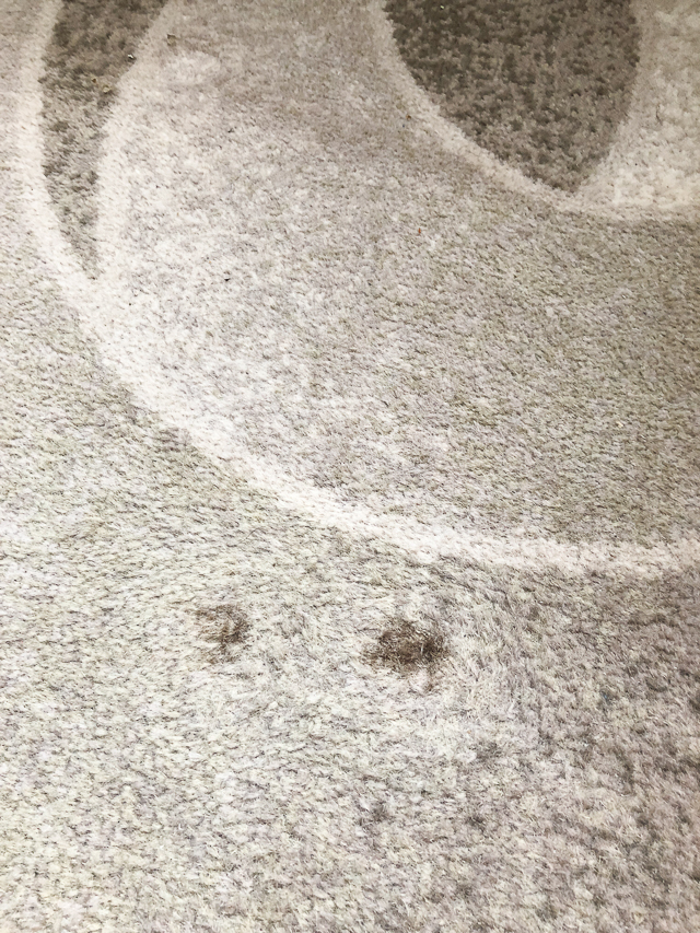 Hotel Carpet: Emergency Stain Removal 