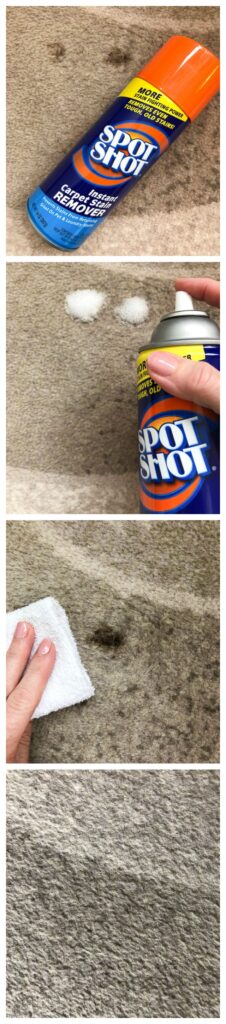 Hotel Carpet: Emergency Stain Removal 