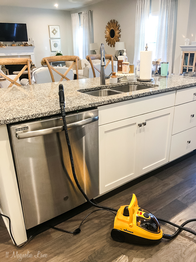 How to Clean Your Oven with a Home Steam Cleaner, Wagner
