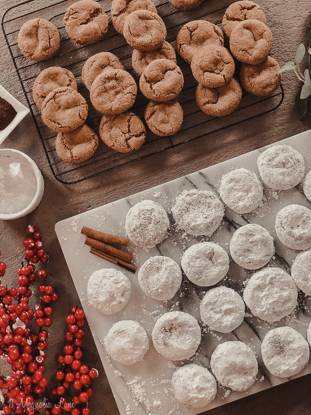 The Best Christmas Cookie Recipe {Ever}